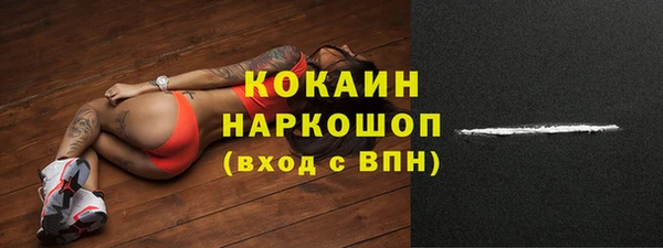 хмурый Аркадак