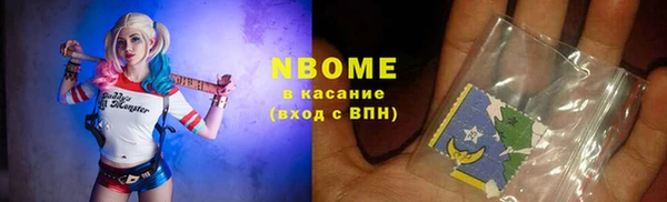 хмурый Аркадак