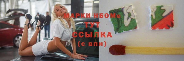 хмурый Аркадак