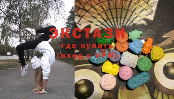 хмурый Аркадак
