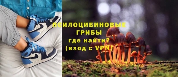 apvp Армянск