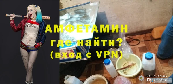 хмурый Аркадак