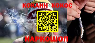стаф Гатчина