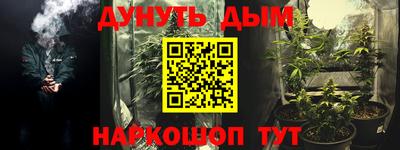 стаф Гатчина