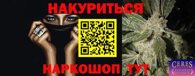 стаф Гатчина