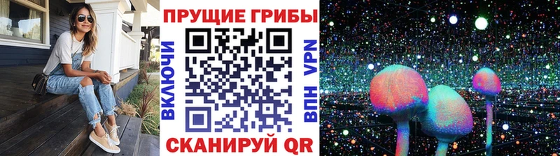 гидра вход Ипатово Псилоцибиновые грибы Psilocybine cubensis
