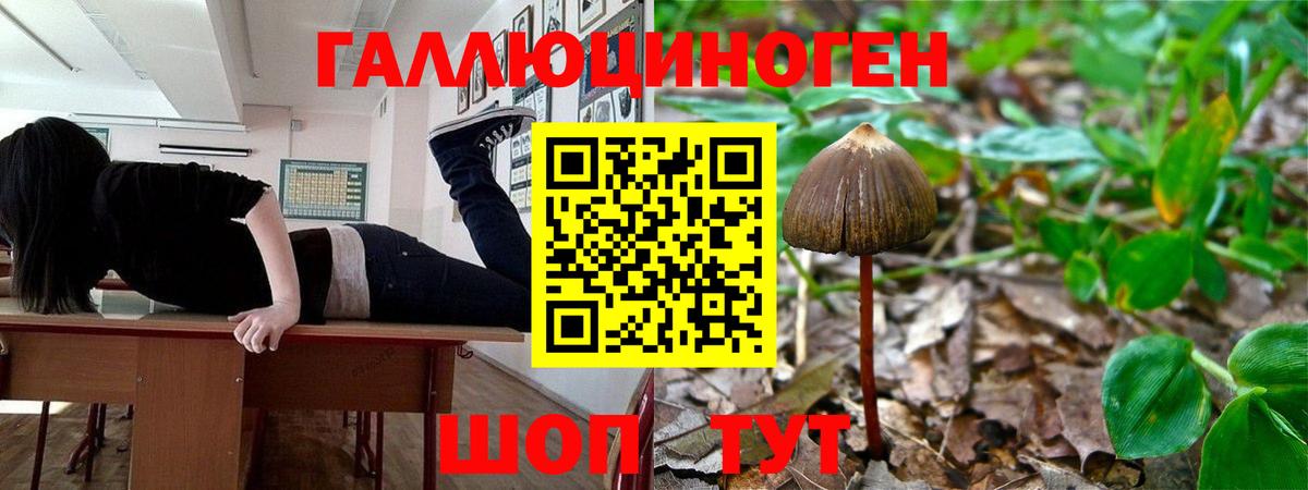 Псилоцибиновые грибы Magic Shrooms Ипатово