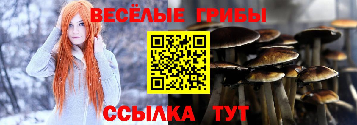  COCAIN Ипатово